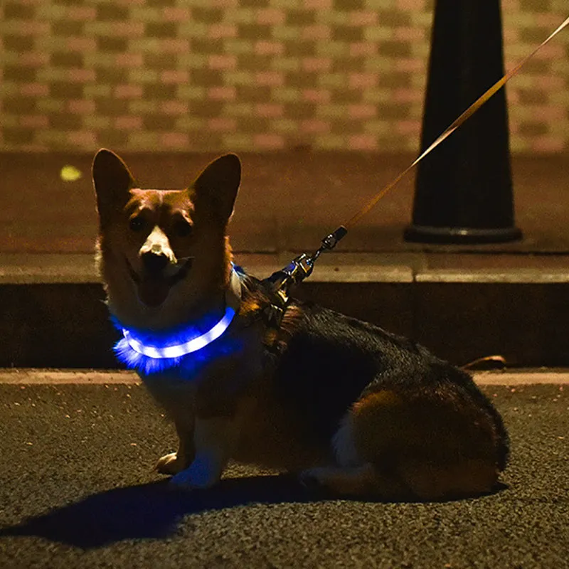 Aiitle Rechargeable LED Dog Collar