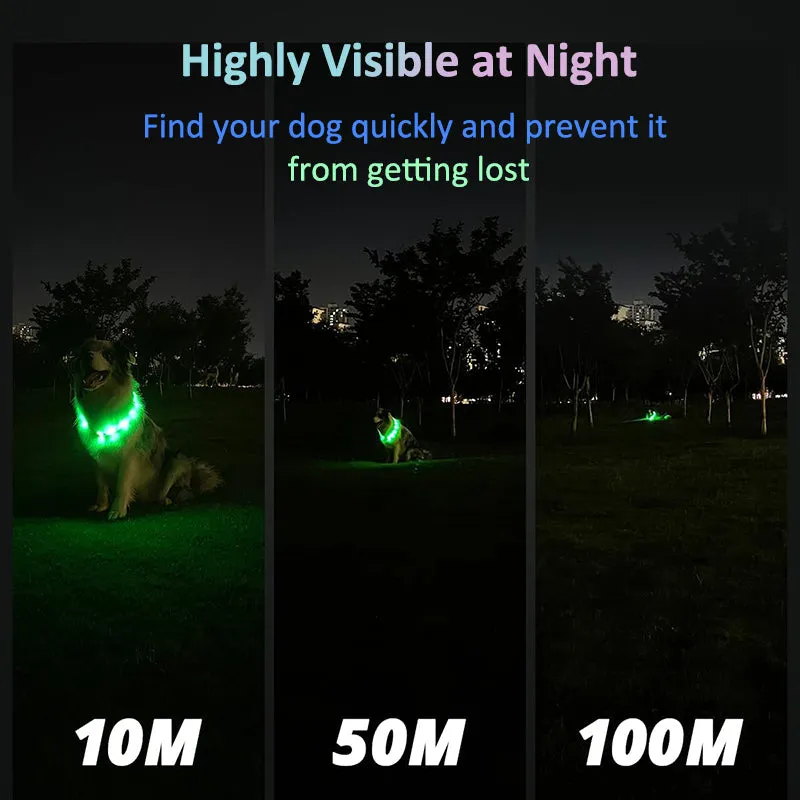 Aiitle Rechargeable LED Dog Collar