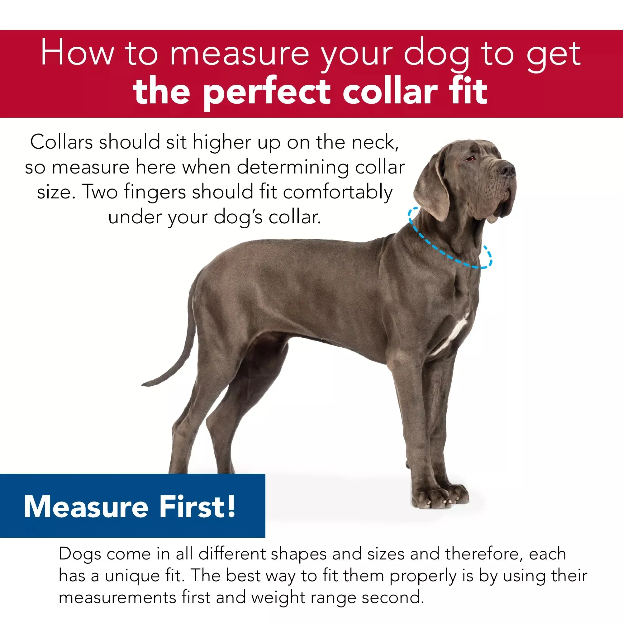 Coastal Pet Products No! Slip Martingale Adjustable Collar With Buckle For Dogs