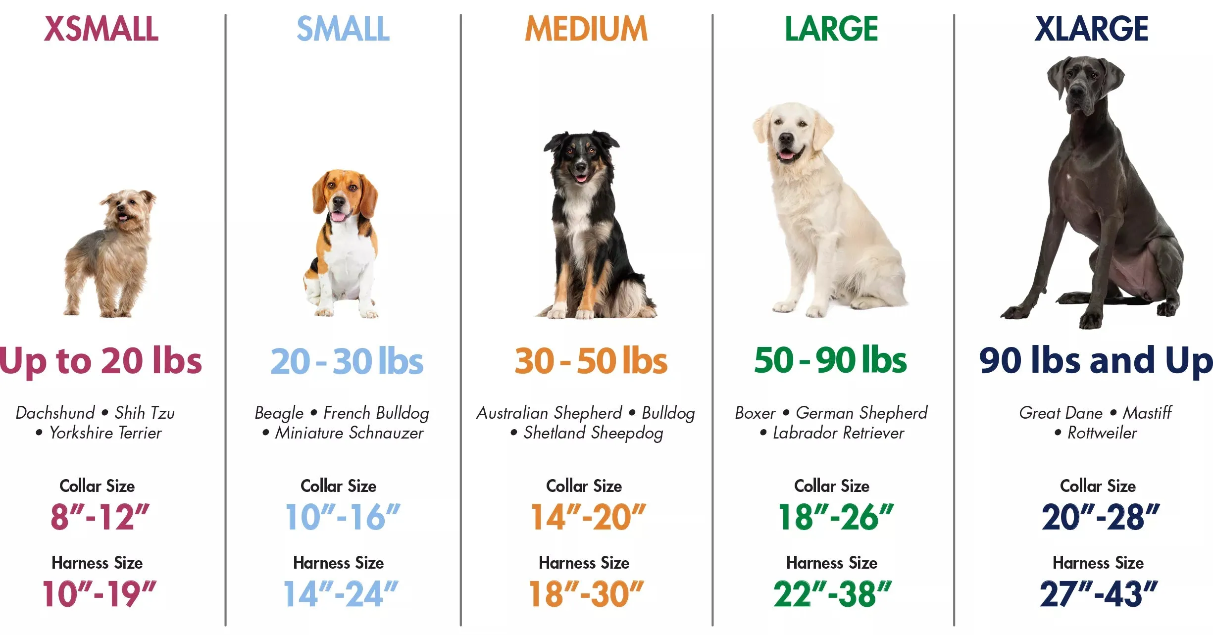 Coastal Pet Products No! Slip Martingale Adjustable Collar With Buckle For Dogs
