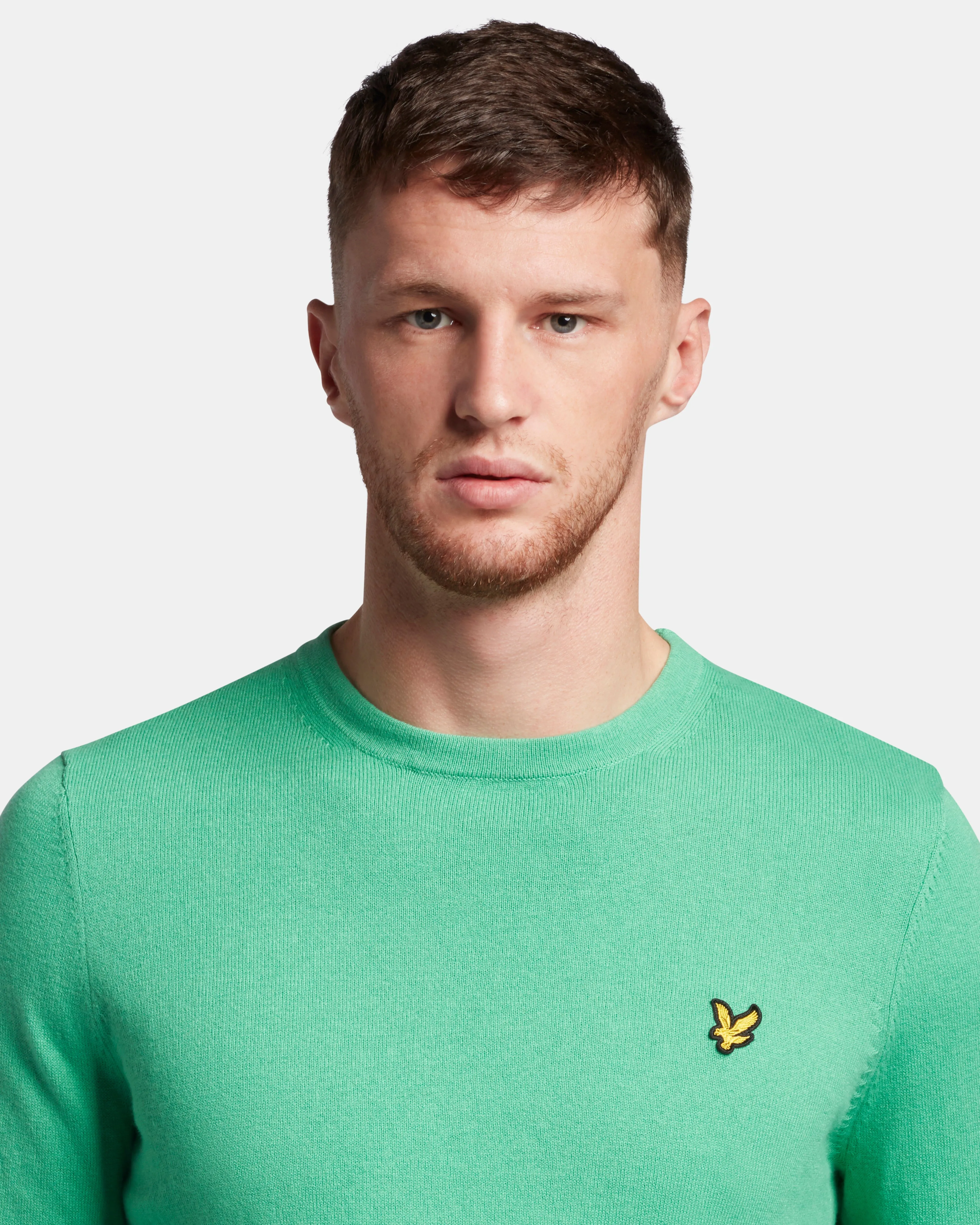Cotton Merino Crew Jumper - Green Glaze