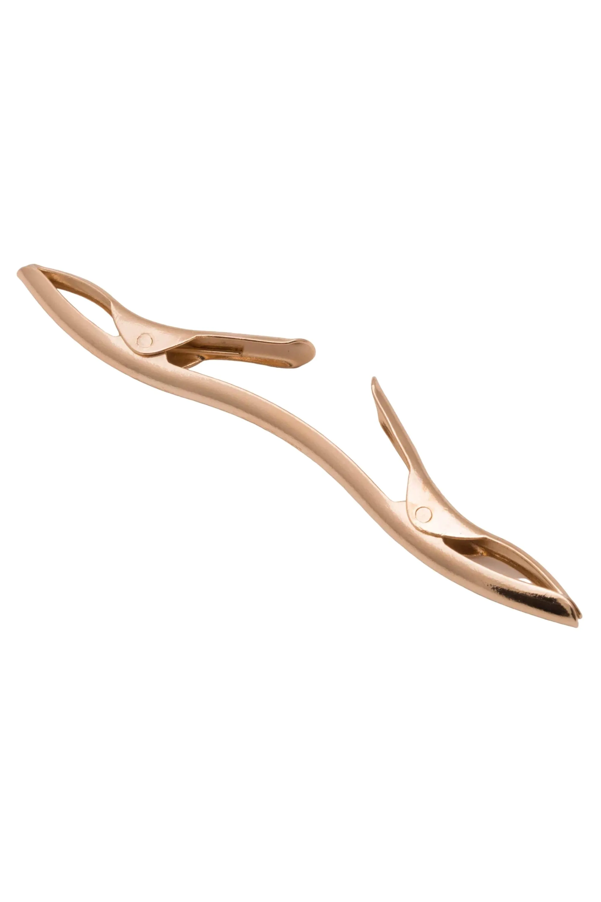 Gold Collar Clip for Narrow Spread Collars