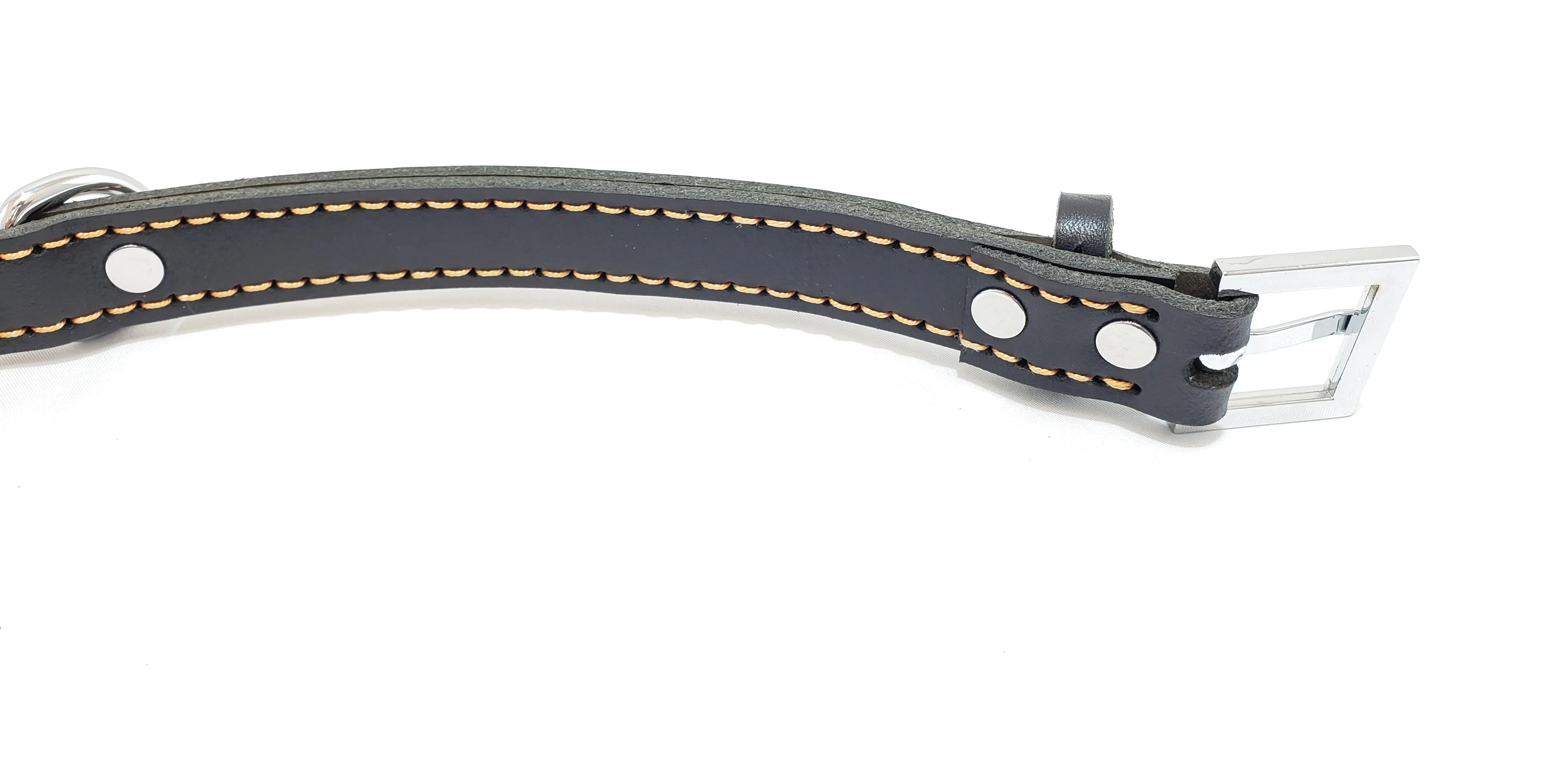 Leather Dog Collar with Single Line of Silver Chrome Buttons - Black - Medium