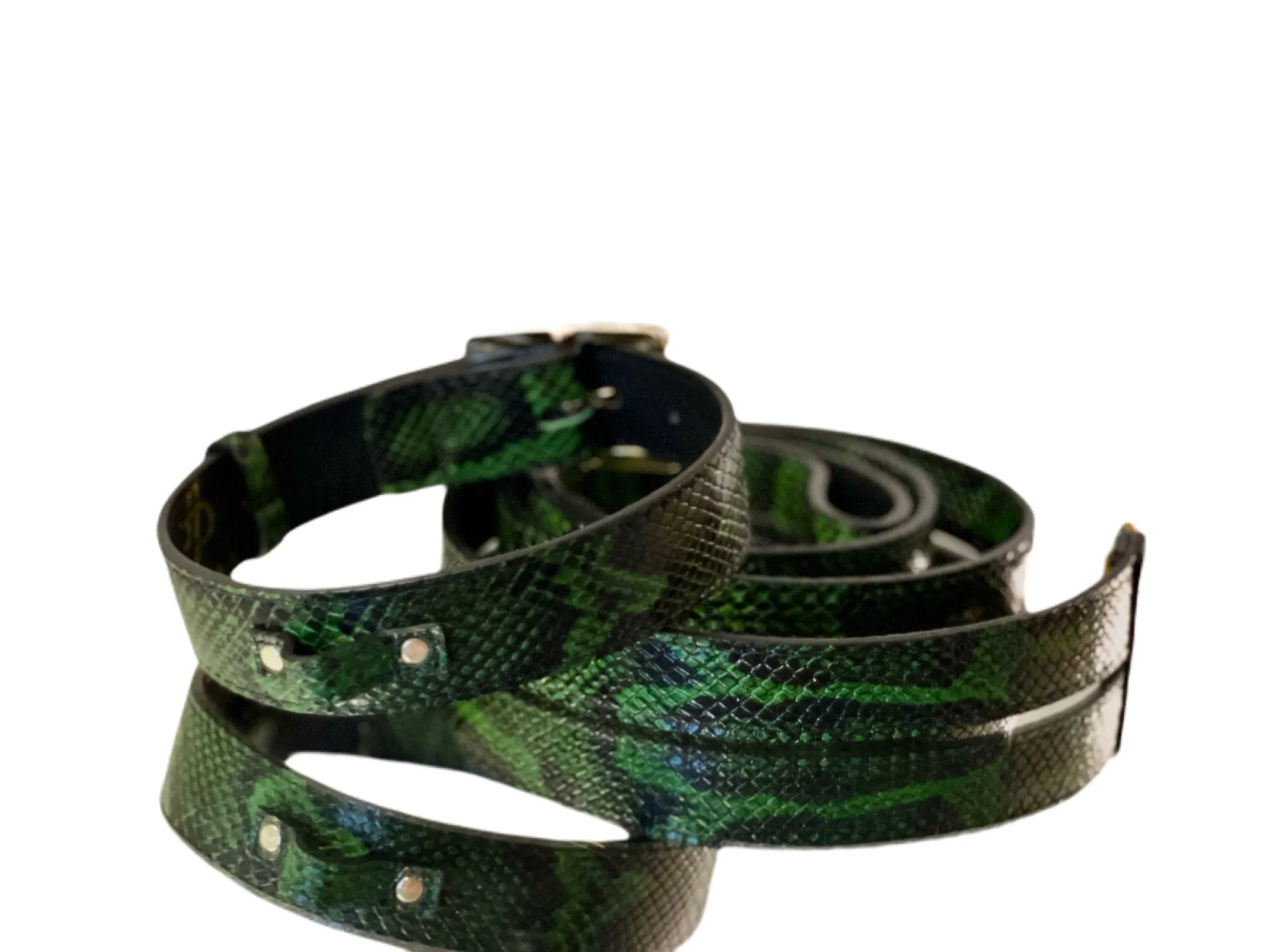 Luxury Pet Fashion Green and Black Embossed Python Italian Leather Collar & Leash Set.