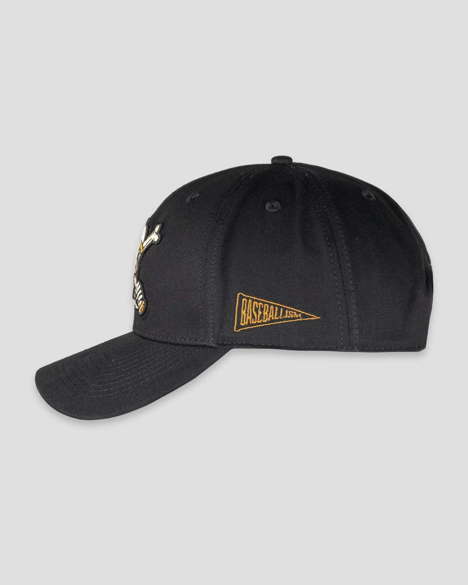Sticks and Stones Shallow Crown Fan Cap