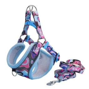 Supet Adjustable Dog Harness and Leash Set (Blue) - Large