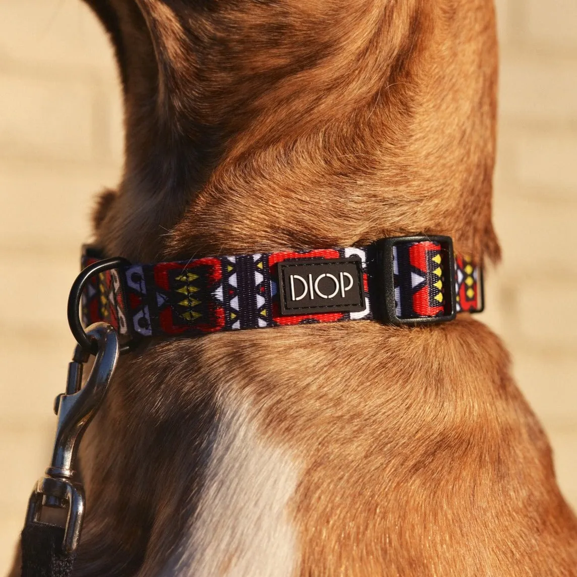 The Nana Dog Collar