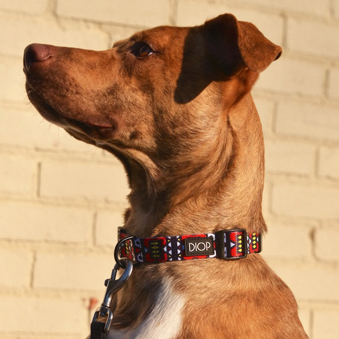 The Nana Dog Collar