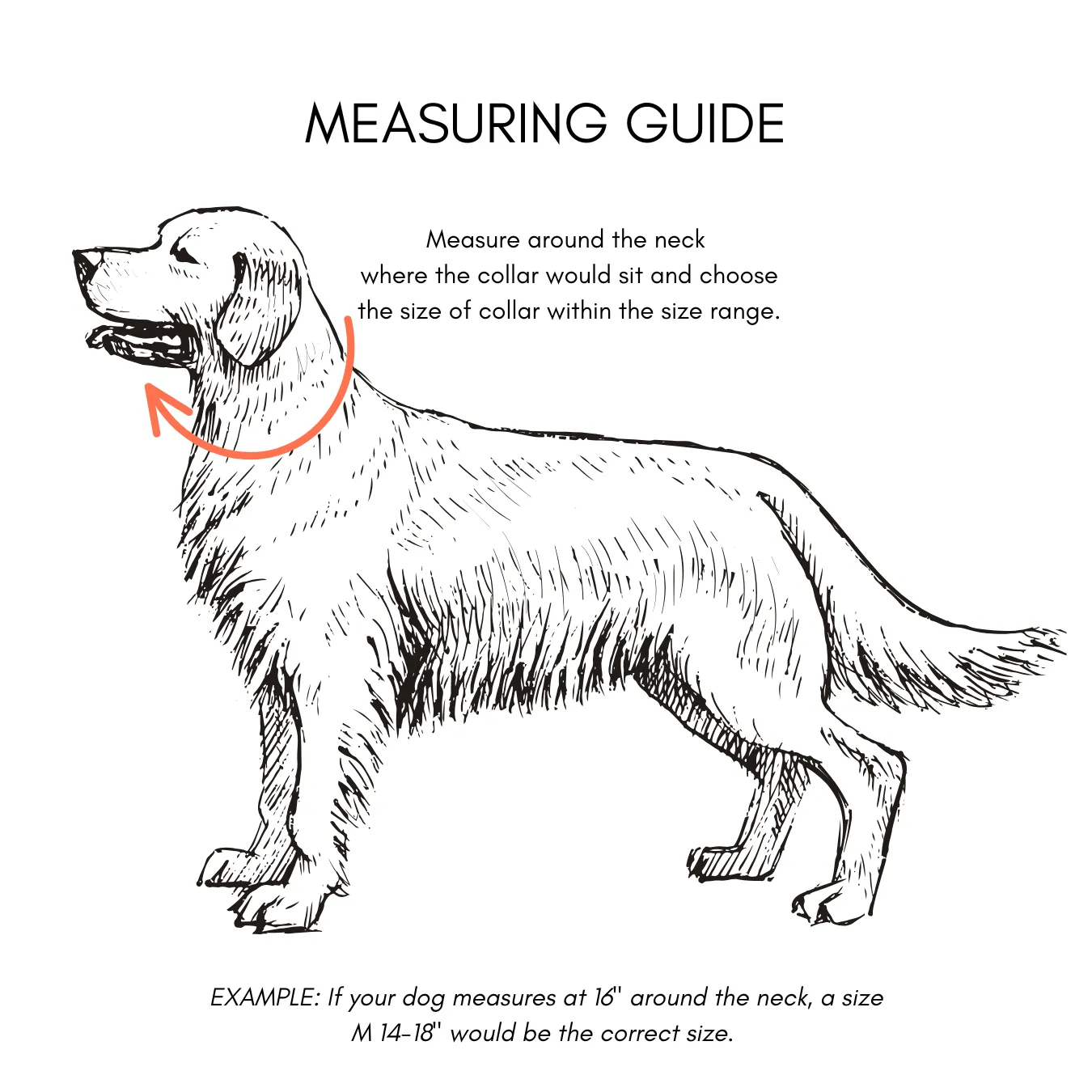 Walk By Good Boy - Biothane Collar - Forest