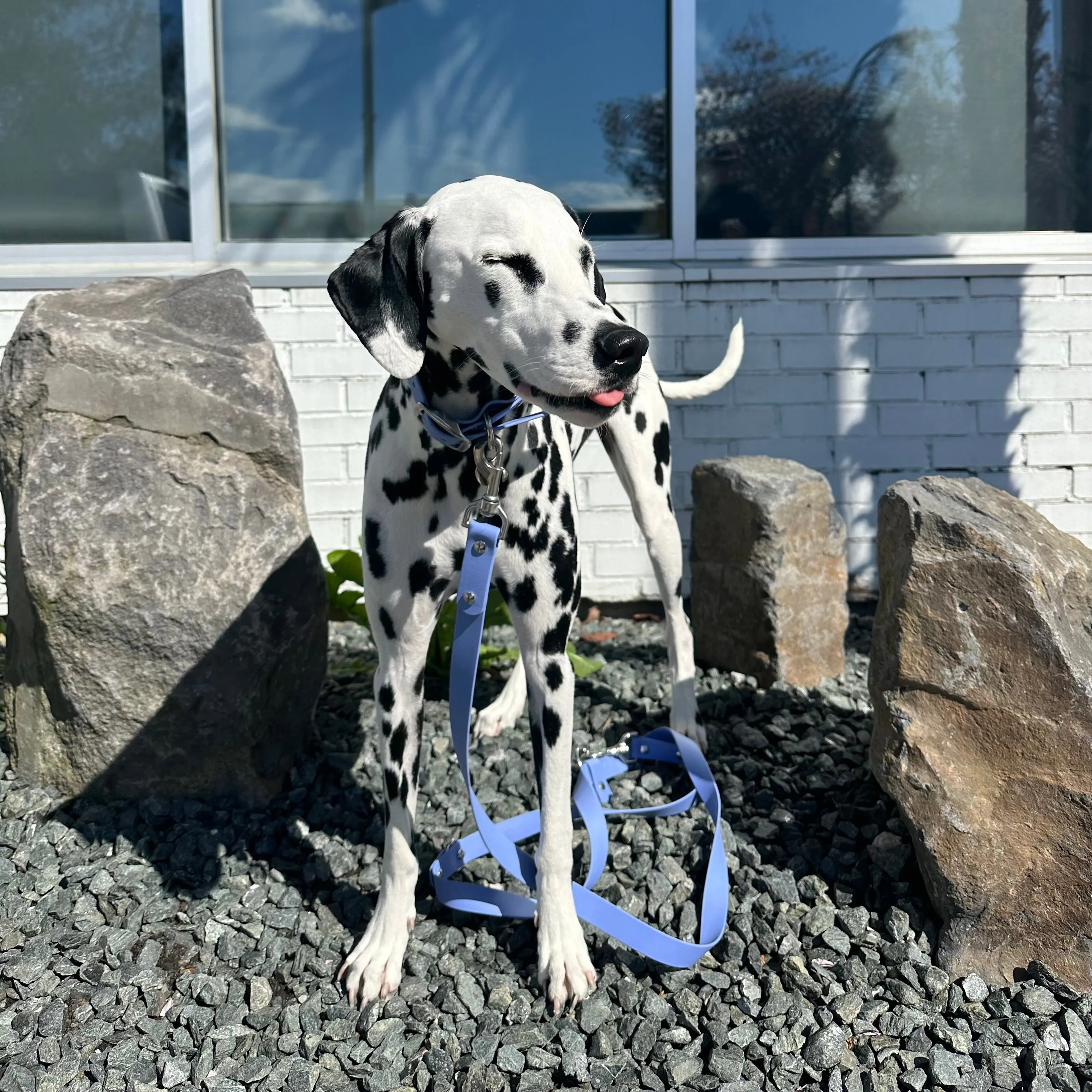 Walk By Good Boy - Biothane Collar - Periwinkle